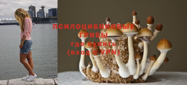 мяу мяу кристалл Касимов