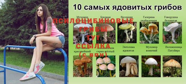 марихуана Куйбышев