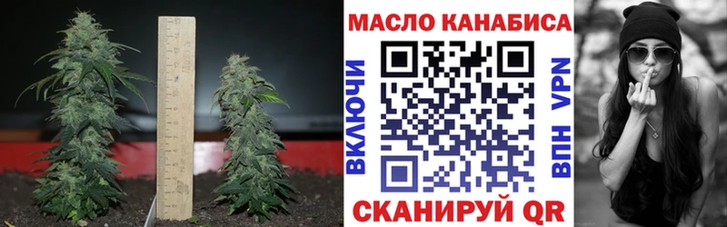Дистиллят ТГК гашишное масло  цены   Сельцо 